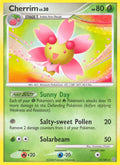 Cherrim (14/100) [Diamond & Pearl: Stormfront]