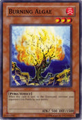 Burning Algae [DR2-EN063] Common