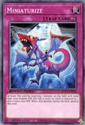 Miniaturize [SGX1-END20] Common