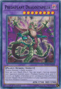 Predaplant Dragostapelia [MP19-EN228] Common