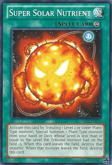 Super Solar Nutrient [AP03-EN024] Common