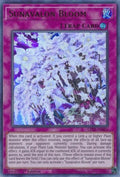 Sunavalon Bloom [GFTP-EN026] Ultra Rare