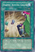 Harpies' Hunting Ground [DR3-EN098] Common