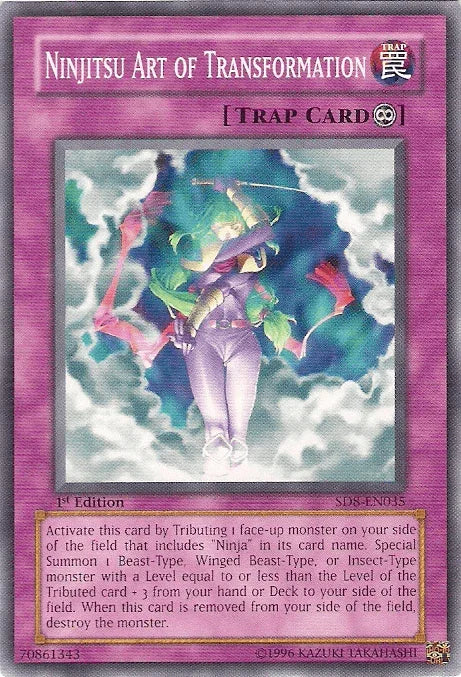 Ninjitsu Art of Transformation [SD8-EN035] Common