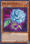 Brilliant Rose [MP23-EN124] Common