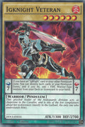 Igknight Veteran [DOCS-EN031] Common